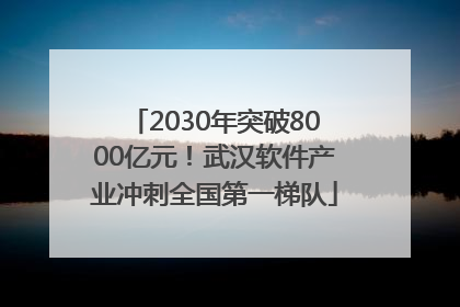 2030年突破8000亿元！武汉软件产业冲刺全国第一梯队