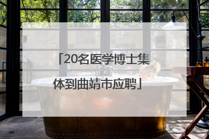 20名医学博士集体到曲靖市应聘