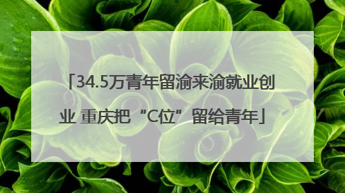 34.5万青年留渝来渝就业创业 重庆把“C位”留给青年