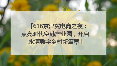 616京津冀电商之夜：点亮时代空港产业园，开启永清数字乡村新篇章
