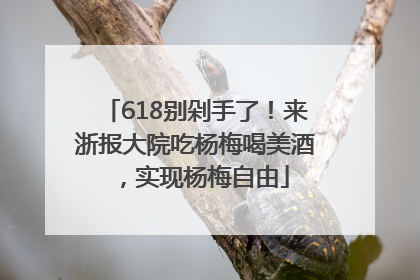 618别剁手了！来浙报大院吃杨梅喝美酒，实现杨梅自由