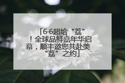 6·6超给“荔”！全球品鲜嘉年华启幕，顺丰邀您共赴美“荔”之约