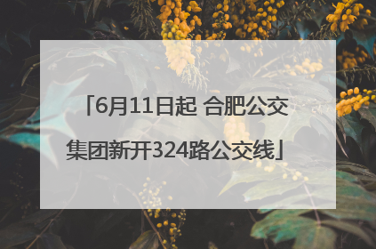 6月11日起 合肥公交集团新开324路公交线
