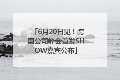 6月20日见！跨国公司峰会首发SHOW嘉宾公布