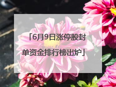 6月9日涨停股封单资金排行榜出炉