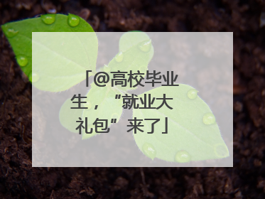 @高校毕业生，“就业大礼包”来了