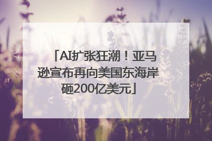 AI扩张狂潮！亚马逊宣布再向美国东海岸砸200亿美元