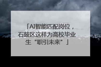 AI智能匹配岗位，石鼓区这样为高校毕业生“职引未来”