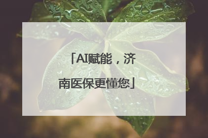 AI赋能，济南医保更懂您