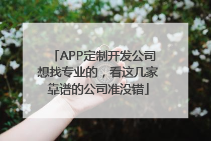 APP定制开发公司想找专业的，看这几家靠谱的公司准没错